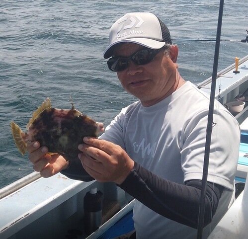 image2.jpeg