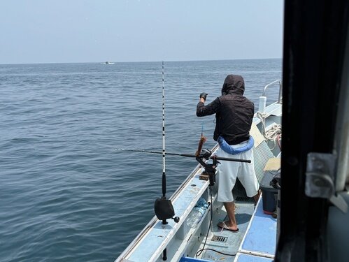 image1.jpeg