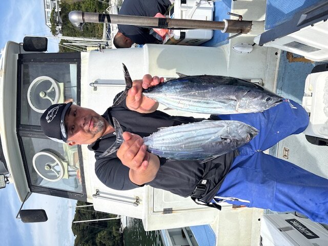 image12.jpeg