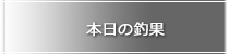 本日の釣果