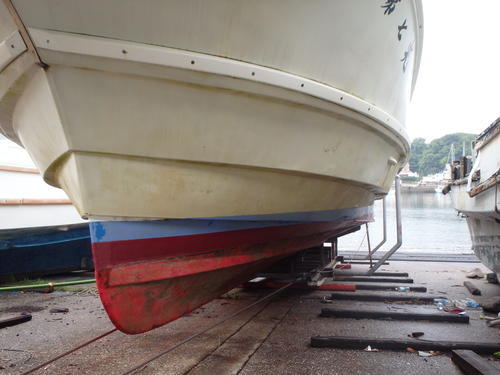 P7120160.jpg